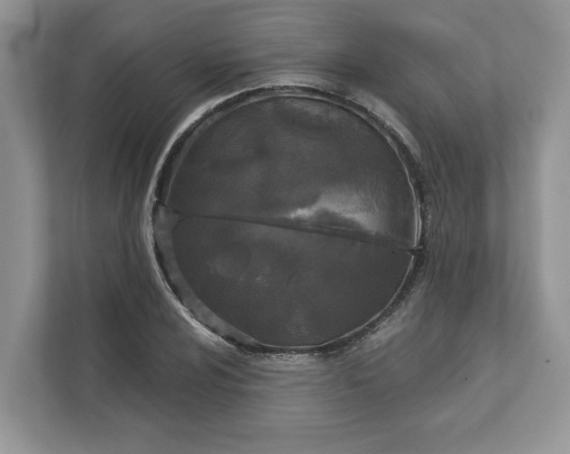 X0000111871024200907301112