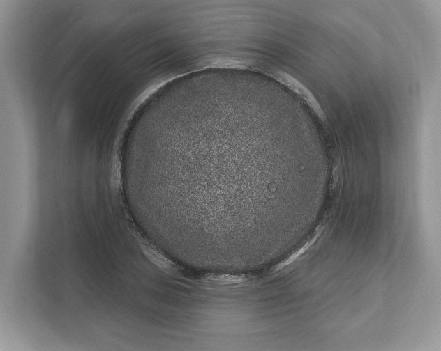 X0000111871027200907301112