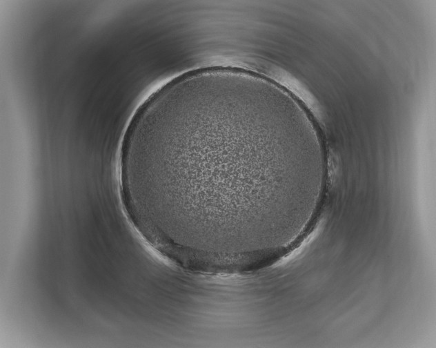 X0000111871028200907301112