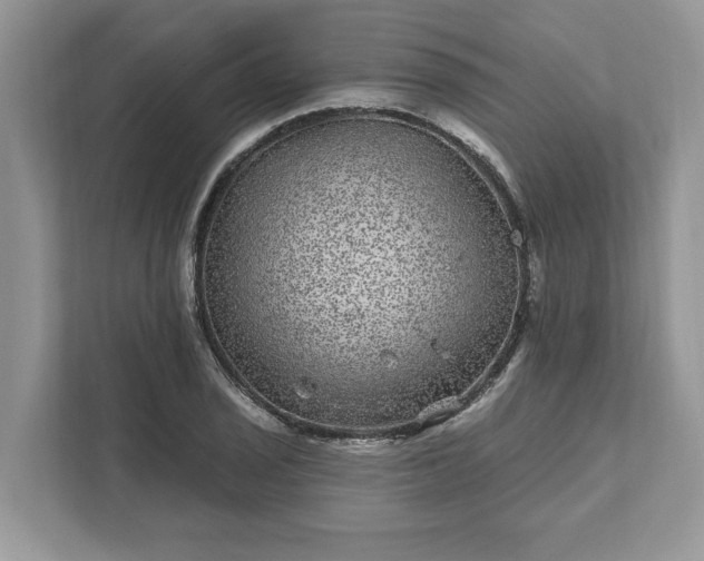 X0000111871029200907301112