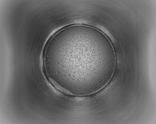 X0000111871032200907301112