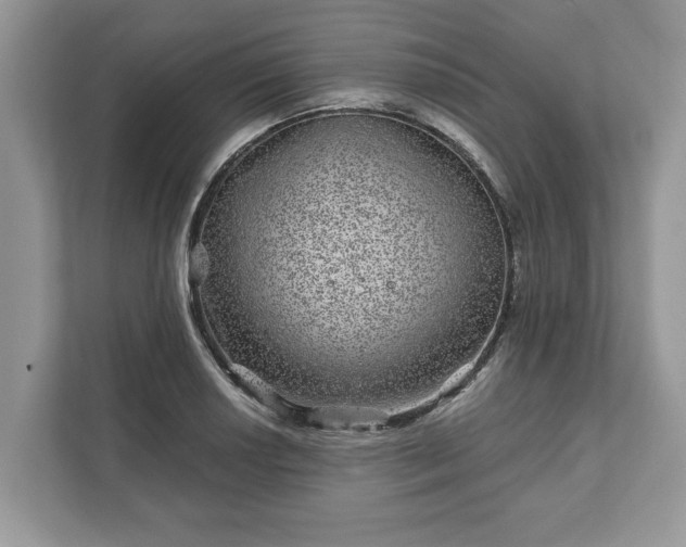 X0000111871034200907301112