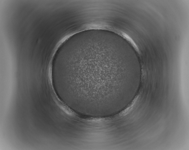 X0000111871035200907301112