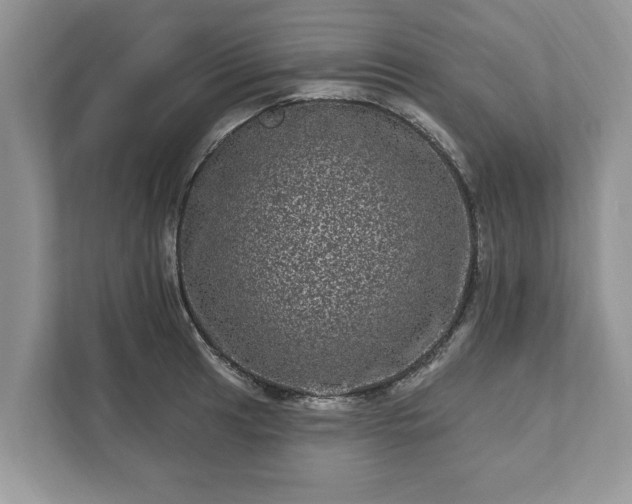 X0000111871041200907301112