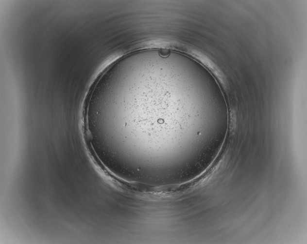 X0000111871042200907301112