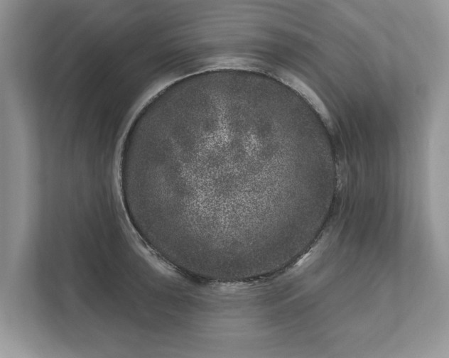 X0000111871043200907301112