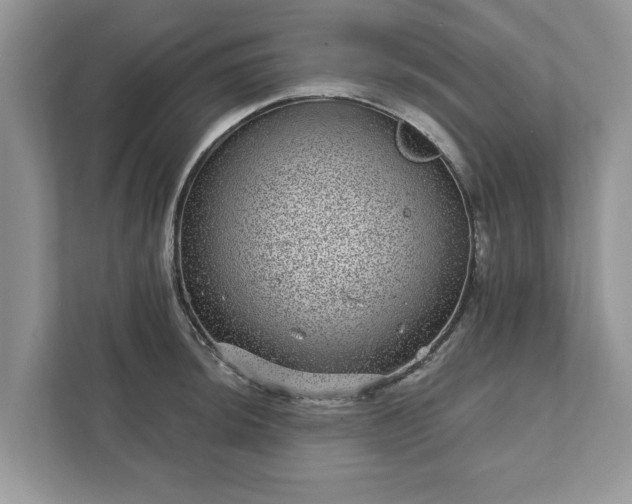 X0000111871044200907301112