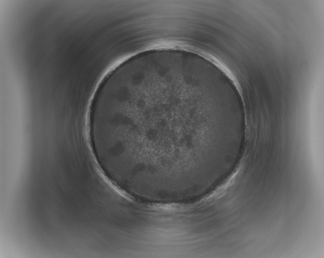 X0000111871045200907301112