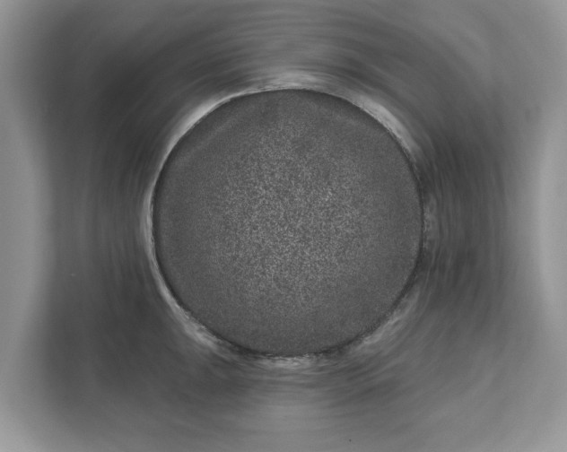 X0000111871047200907301112