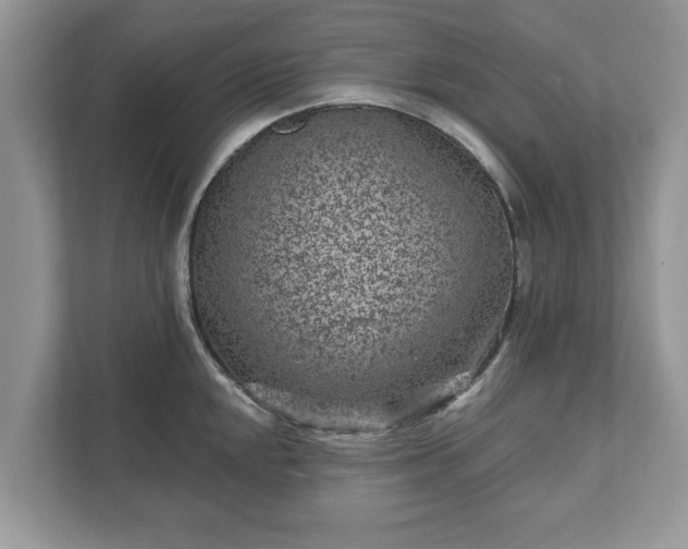 X0000111871048200907301112