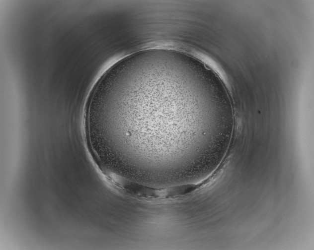 X0000111871050200907301112