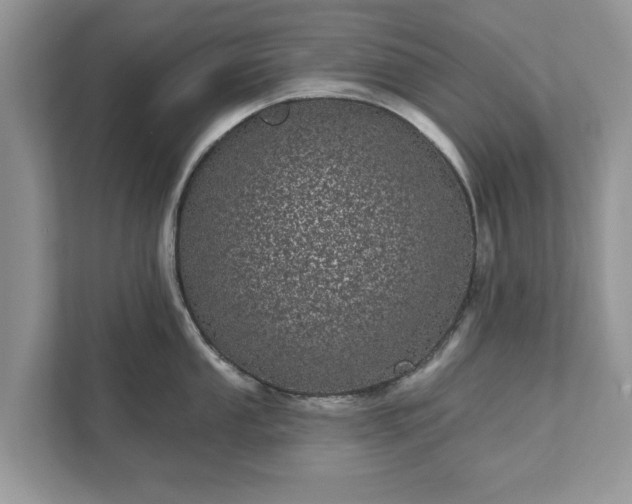 X0000111871053200907301112