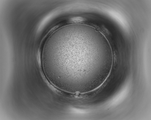 X0000111871054200907301112