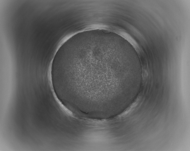 X0000111871055200907301112