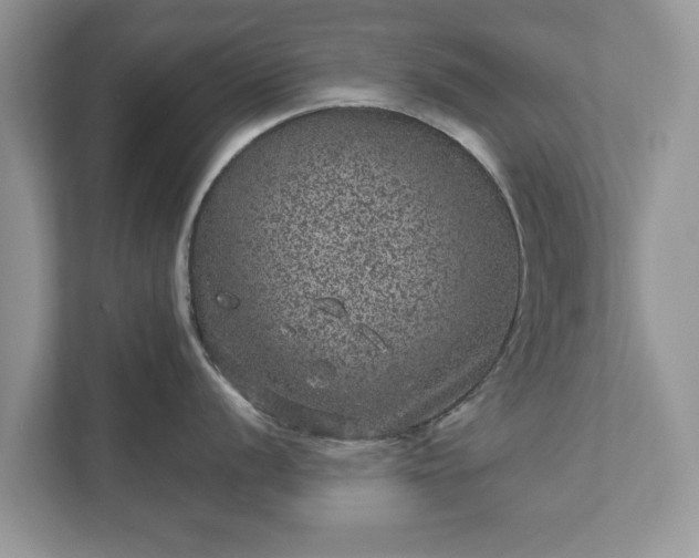 X0000111871056200907301112