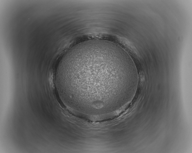 X0000111871060200907301111