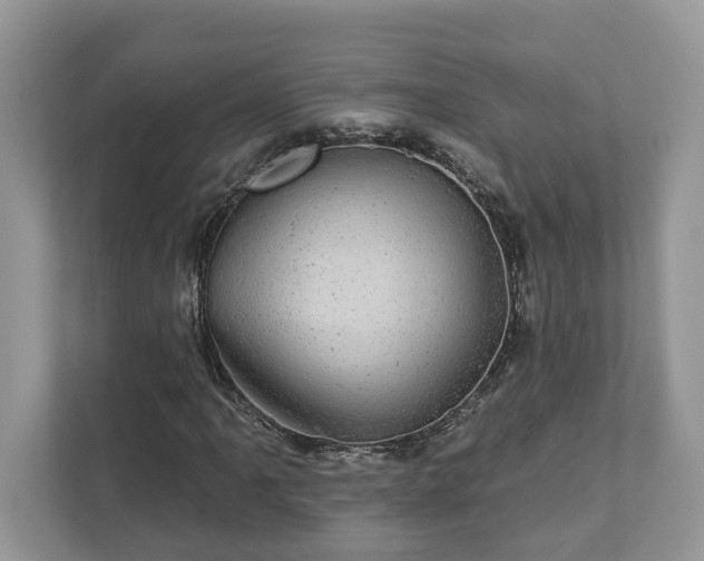 X0000111871061200907301111