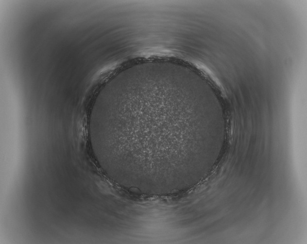 X0000111871063200907301111