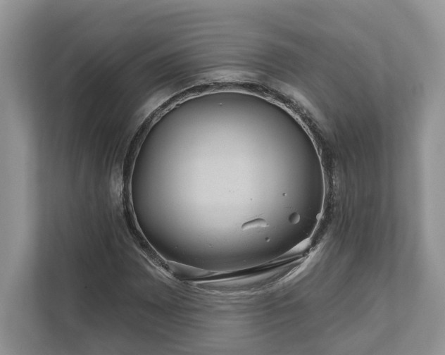 X0000111871065200907301111