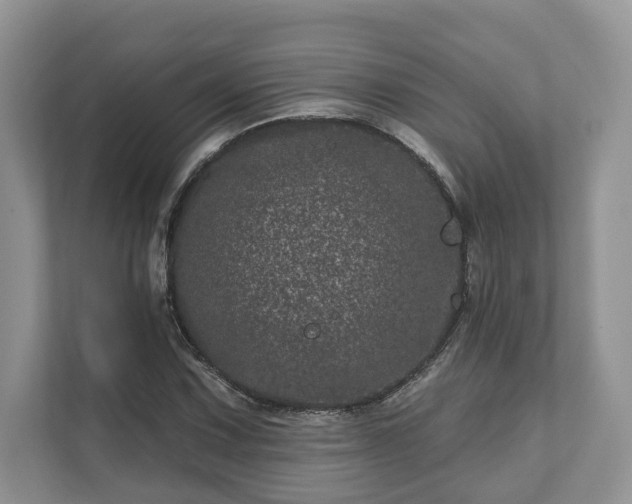 X0000111871067200907301111