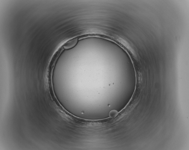 X0000111871068200907301111