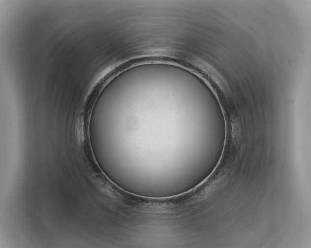 X0000111871069200907301111