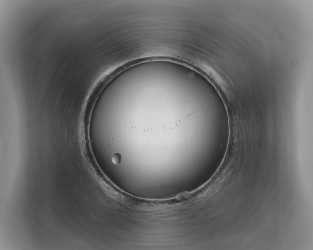 X0000111871072200907301111