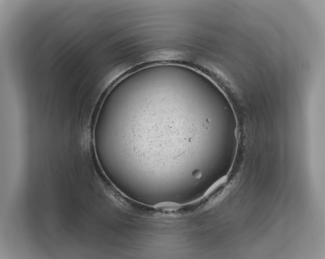 X0000111871073200907301111