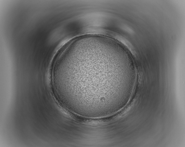 X0000111871074200907301111