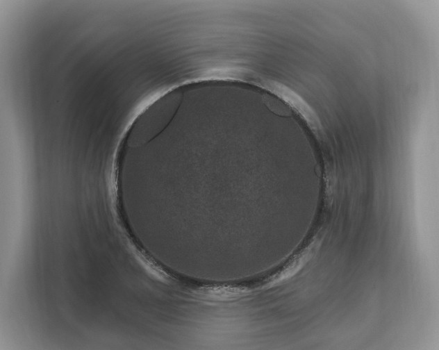 X0000111871077200907301111