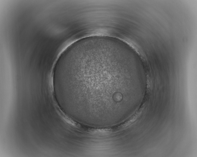 X0000111871078200907301111