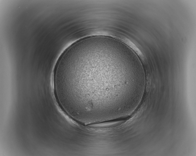 X0000111871084200907301111