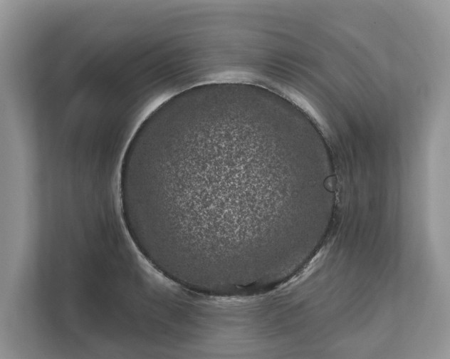 X0000111871087200907301111