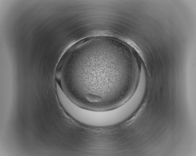 X0000111871089200907301111