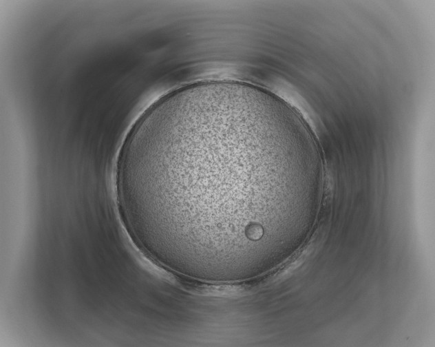 X0000111871090200907301111