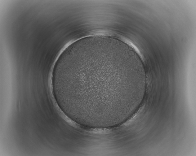 X0000111871091200907301111