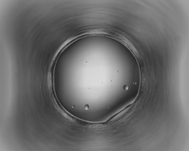 X0000111871092200907301111