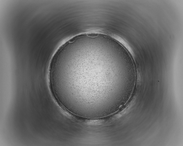 X0000111871093200907301111