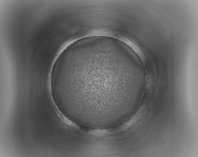 X0000111871094200907301111