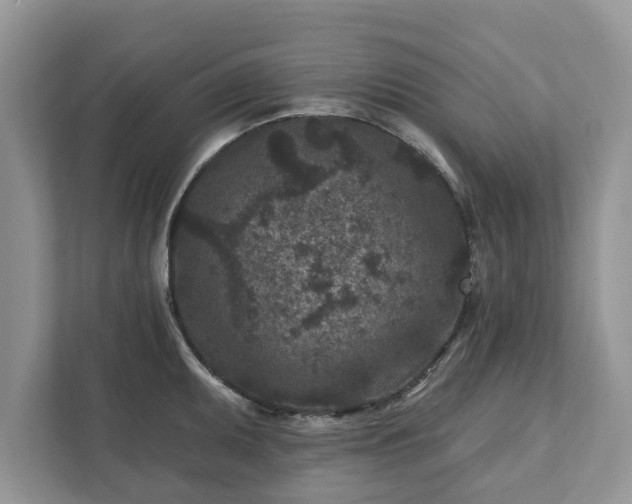 X0000111871095200907301111