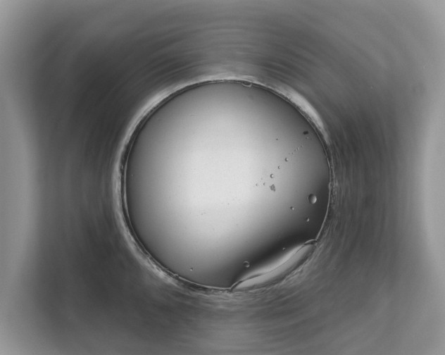 X0000111871096200907301111