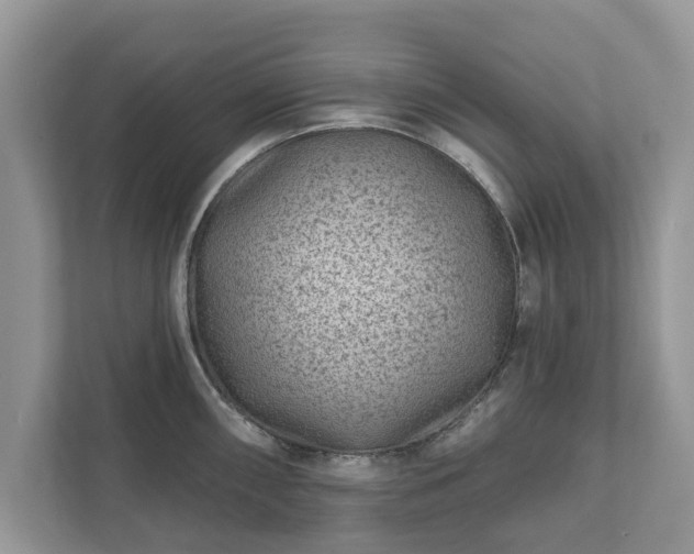 X0000111871098200907301111