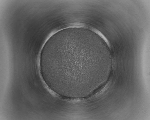 X0000111871099200907301111