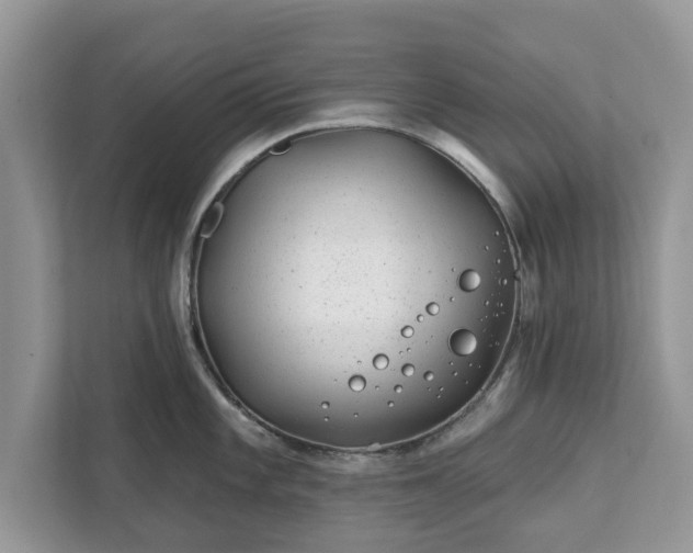 X0000111871101200907301111