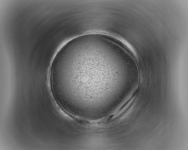 X0000111871102200907301111