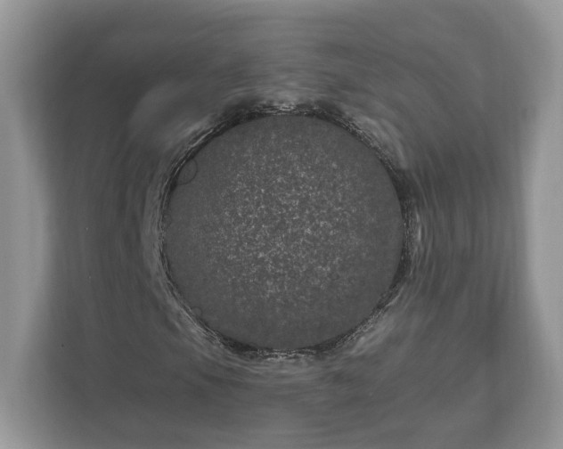 X0000111871105200907301110