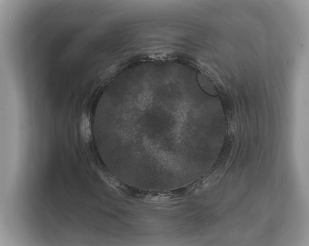 X0000111871106200907301110