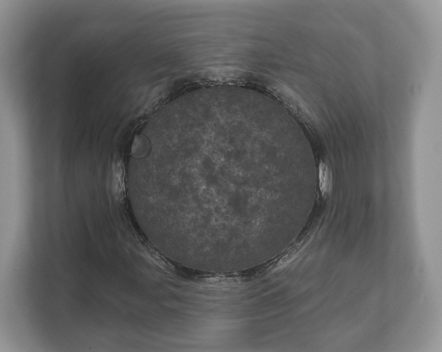 X0000111871107200907301110