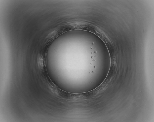 X0000111871108200907301110