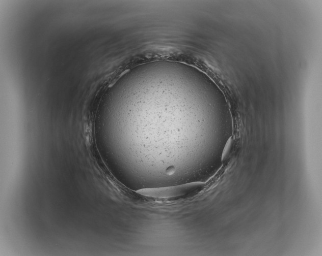 X0000111871109200907301110